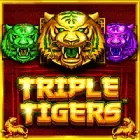 Triple Tigers